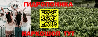 шишки Гусиноозёрск