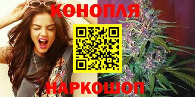 шишки Гусиноозёрск