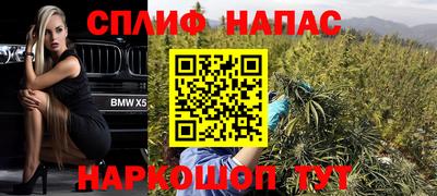 шишки Гусиноозёрск