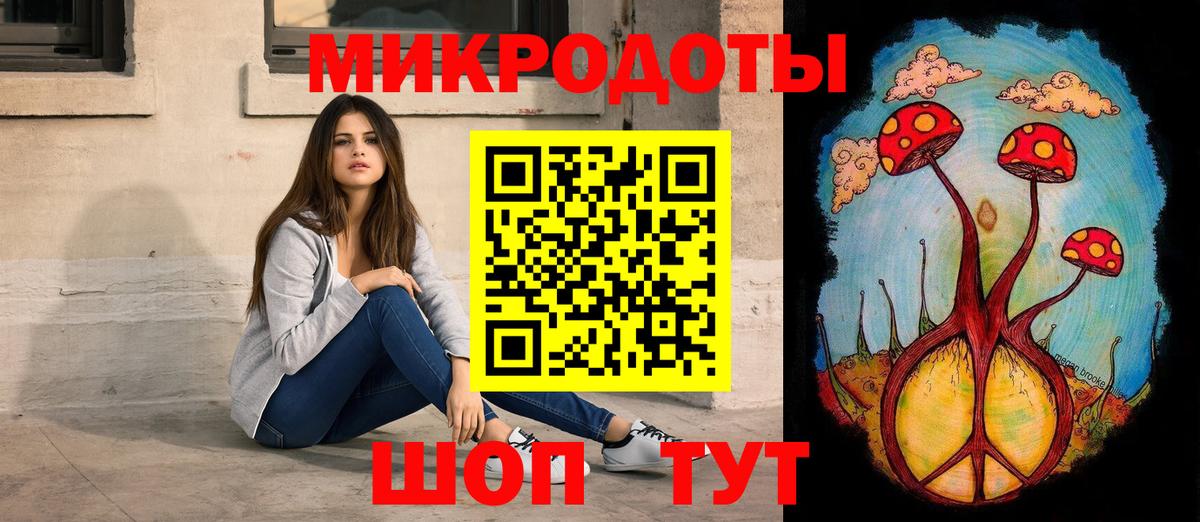 Галлюциногенные грибы Psilocybe Тимашёвск