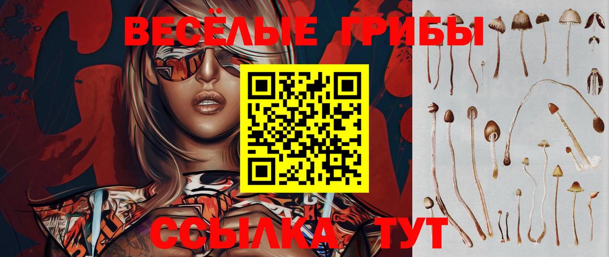 Тимашёвск  Галлюциногенные грибы MAGIC MUSHROOMS  Вход с VPN 